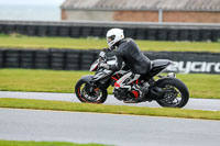 PJ-Motorsport-2019;anglesey-no-limits-trackday;anglesey-photographs;anglesey-trackday-photographs;enduro-digital-images;event-digital-images;eventdigitalimages;no-limits-trackdays;peter-wileman-photography;racing-digital-images;trac-mon;trackday-digital-images;trackday-photos;ty-croes